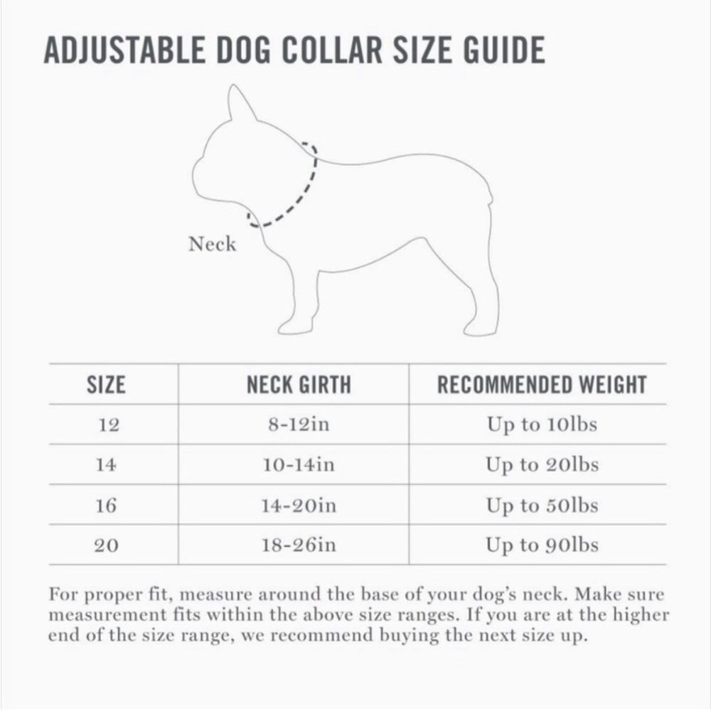 NWT MARTHA STEWART ADJUSTABLE
NYLON DOG COLLAR gray Size 14 (neck 10-14”) - Picture 6 of 8
